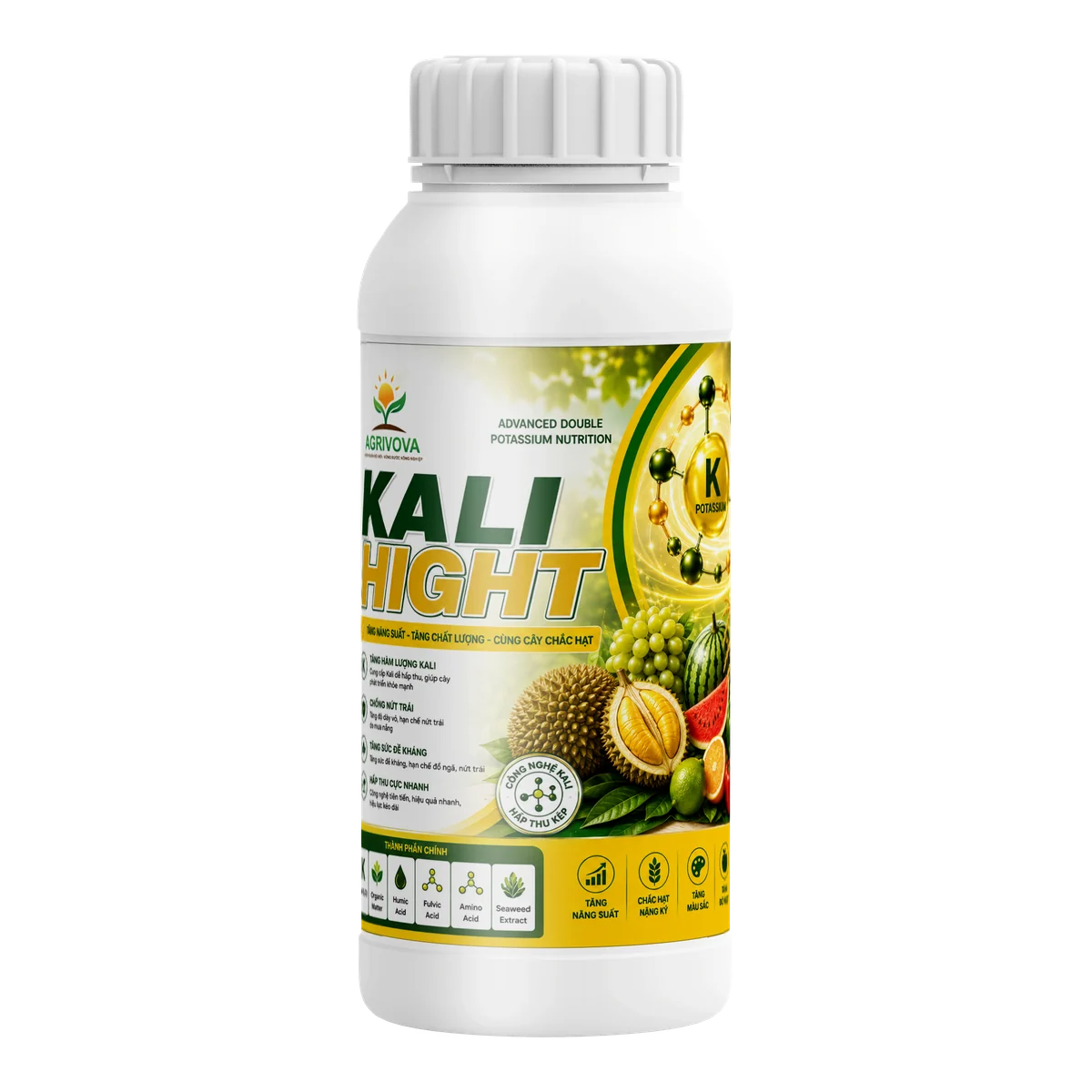 KALI HIGHT